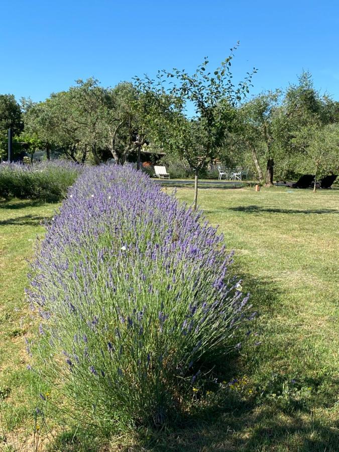 Agriturismo La Cervaiola Piccola Dimora Di Campagna Porano Kültér fotó
