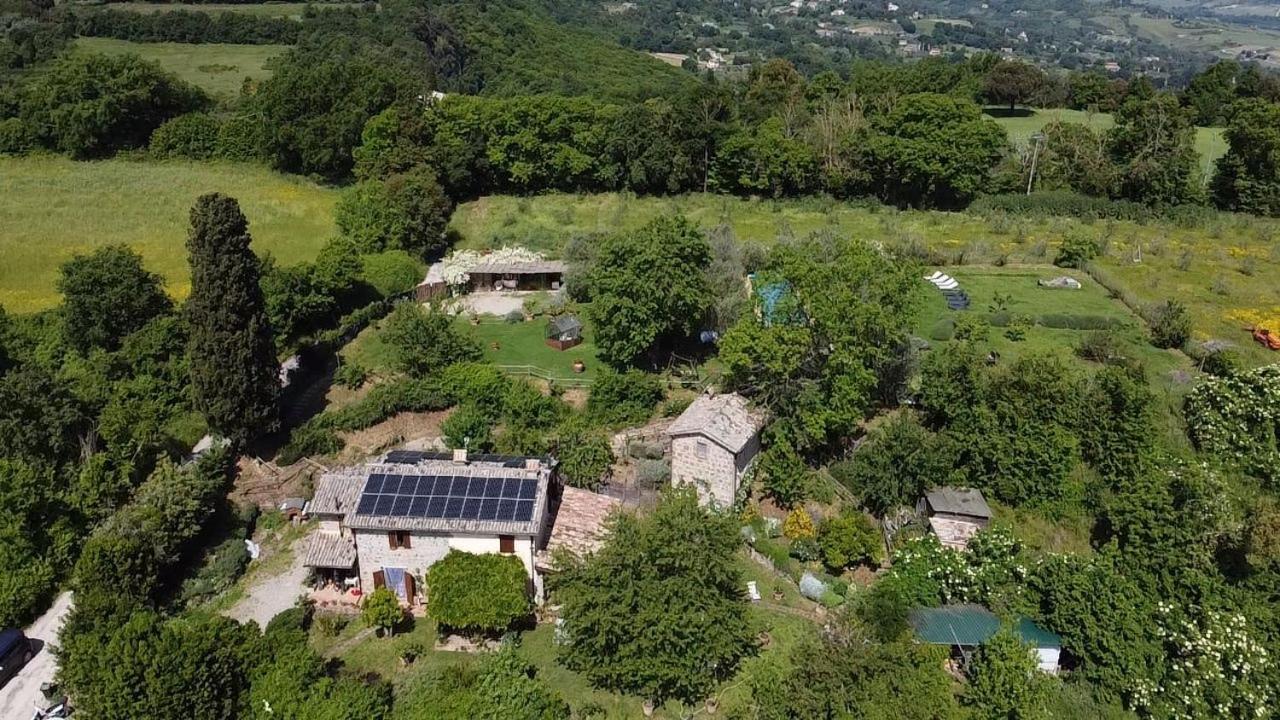 Agriturismo La Cervaiola Piccola Dimora Di Campagna Porano Kültér fotó